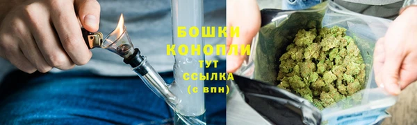 PSILOCYBIN Нягань