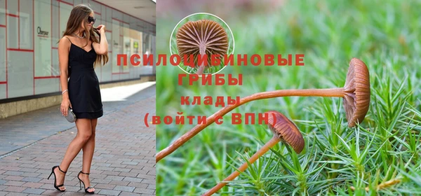 бутират Няндома