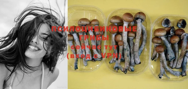 PSILOCYBIN Нягань