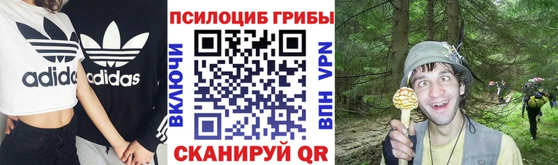 Псилоцибиновые грибы Psilocybine cubensis  Сорск 